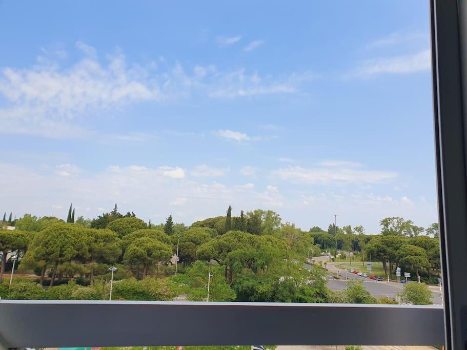 Apartment T2 Fidji Vue Port Et Parking Clim Wifi - Rossiconciergerie - Linge En Option
